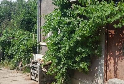 Calugareni, Jud. Giurgiu - 3