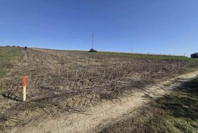 Spațiu comercial, în Cătămărești - 2