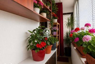 Apartament cu 2 camere decomandat în Valea Lupului - 3
