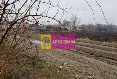 Teren ideal showroom, depozit, logistica, magazin, hala, ... - 4