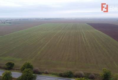 Teren Agricol | Opurtunitate investitie | Sananadrei - ID V713 - 2