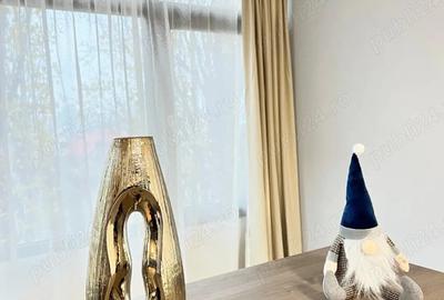 Apartament cu 2 camere semidecomandat în Timpuri Noi - 4