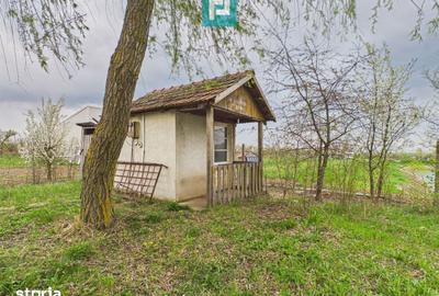 Teren de 10000 mp, în Grădiște - 3