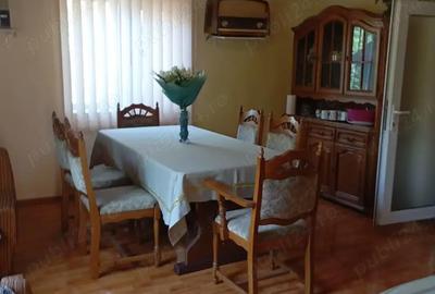 Casă cu 4 camere cu Teren 3400 Mp în Susag - 1
