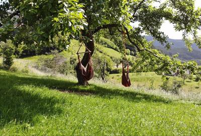 Casă cu 4 camere în Râu Sadului - 3