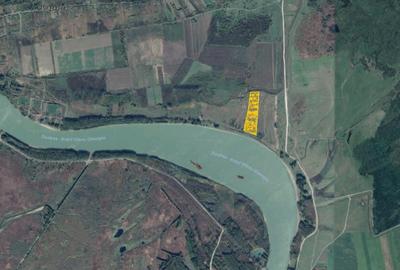 Teren de 1ha Patlageanca Tulcea - 2
