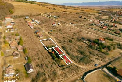 Teren de 784 mp, în Moacșa - 9