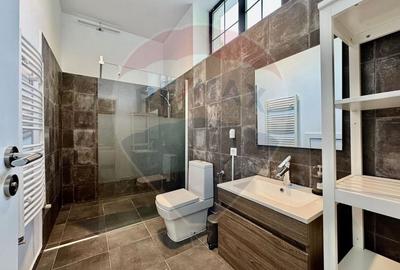 Casa/apartament tip studio/curte de inchiriat Parc Bazilescu - 10