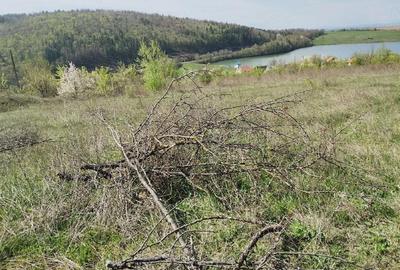Teren de 330 mp, în Moacșa - 2