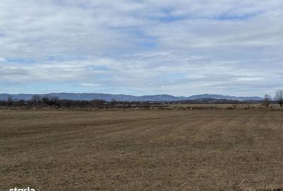 Teren de 3900 mp, în Central - 4