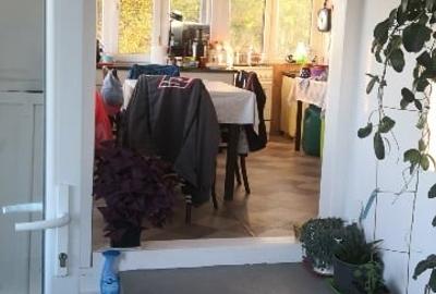 Vand casa de lemn la munte - 4