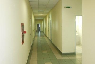 Birou, 5400 mp în Turnișor