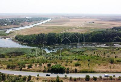 Teren de 2500 mp, în Naipu - 5