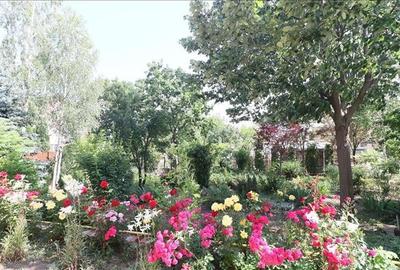 Casa deosebita in V.Lupului Casa deosebita in V.Lupului - 29