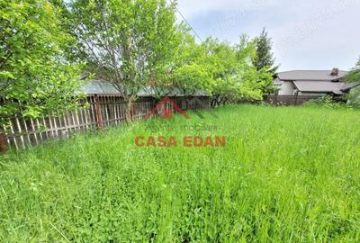 Casă cu Teren 3999 Mp în Scorțeni - 1