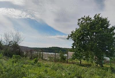 Teren de 1000 mp, în Vrancea - 4