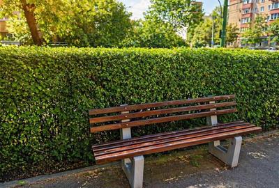 Apartament cu 3 camere semidecomandat în Vlahuță - 3