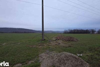 Teren de 520 mp, în Oșorhei