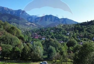 Teren 5,174mp Bran / Strada Colibasilor la 800 m de centrul Branului - 6