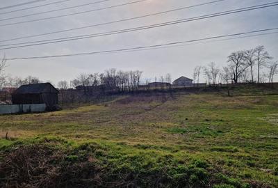 Teren - Roman  -Trifesti Teren - Roman  -Trifesti - 6