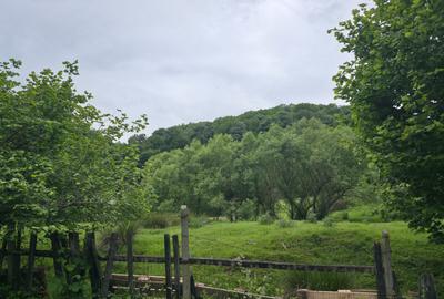 Teren agricol intravilan de 3837 mp, în Central - 8