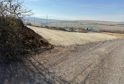 Parcele teren pentru cabane Sibiu -Dealul Daii -Casolt,  direct de la proprietar - 3