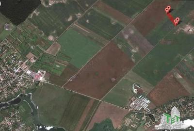 Teren de 71056 mp, în Petrăchioaia - 6