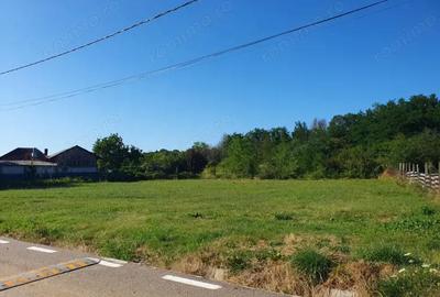 Teren de 600 mp, în Bascov - 2