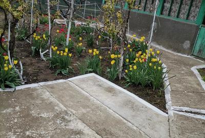 Casă cu 4 camere în Unirea - 8