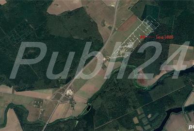 Teren de 14000 mp, în Snagov