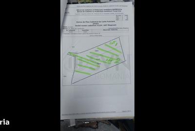 Teren de 1950 mp, în Mogoșani - 4