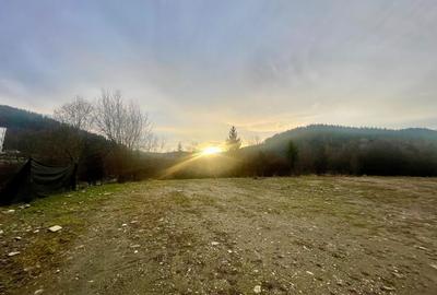 Teren Construcții intravilan de 2.2599999904633 mp, în Sucevița - 1