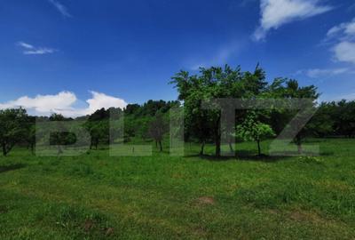 Teren, aproximativ 1 ha, in apropiere de Bistrita - 1