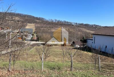 Teren intarvilan de vanzare - Valea Rusului. - 7