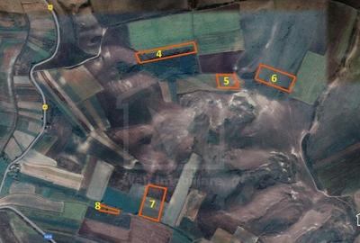 Cojocna, teren extravilan, 10.2 ha - 9 parcele - arabil, faneata - 4