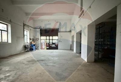 Hala - zona KAUFLAND Burdujeni - 3