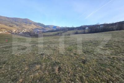 Teren de 16667 mp, în Abrud-Sat - 5