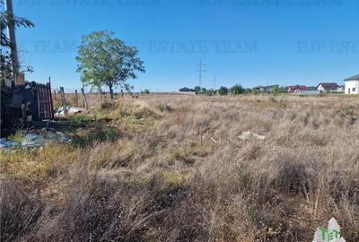 Teren 1491 mp in zona rezidentiala din Ciorogarla Teren 1491 mp in zona rezidentiala din Ciorogarla - 13