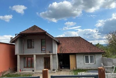 Casă cu 3 camere cu Teren 8000 Mp în Gothatea - 1
