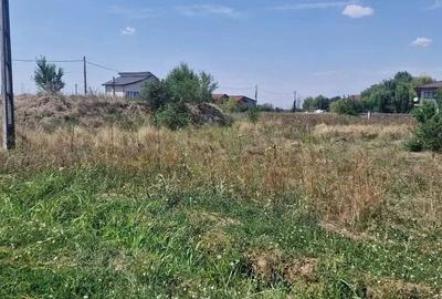 Spațiu comercial, în Brănești - 2