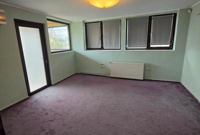 Sagului- Liviu Rebreanu- Casa 200 mp-curte si parcare - 9