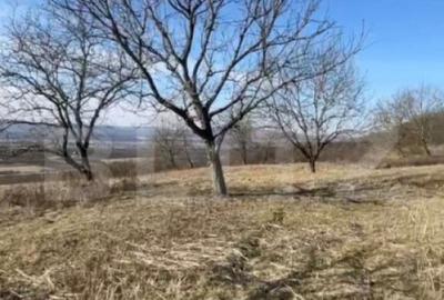 Teren de 20000 mp, în Central - 5