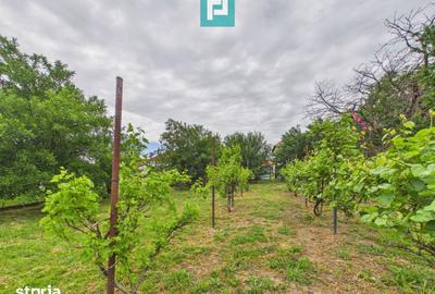 Casă cu 4 camere cu Teren 1368 Mp în Central - 15