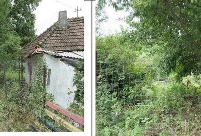 Casa si teren Costinesti, Botosani, ID: R2728052 - 8