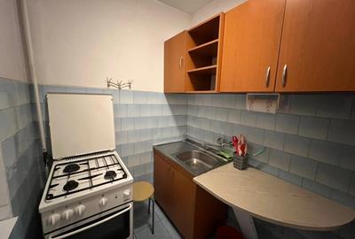 Inchiriere apartament cu 1 camera, 25 mp., 300 Eur, Zorilor, Pasteur - 7
