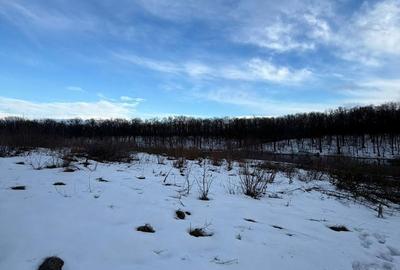 Teren de 1200 mp, în Brănești - 4