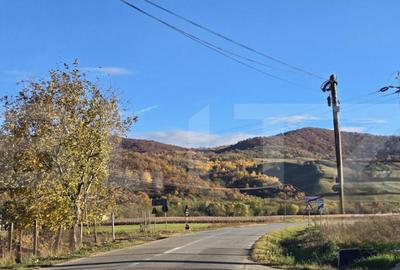 Complex turistic de 5 cabane,3100 mp teren,Transalpina Super - 2