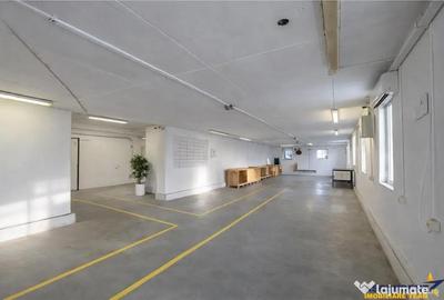 Spațiu comercial, de 1,341 mp, în Valea Crișului - 11