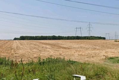 Teren de 200000 mp, în Oarja - 5