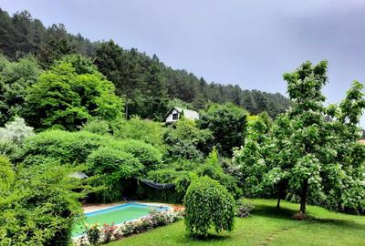 Casa individuala de lux cu piscina si teren de 4.400mp in zona VIVO - 3